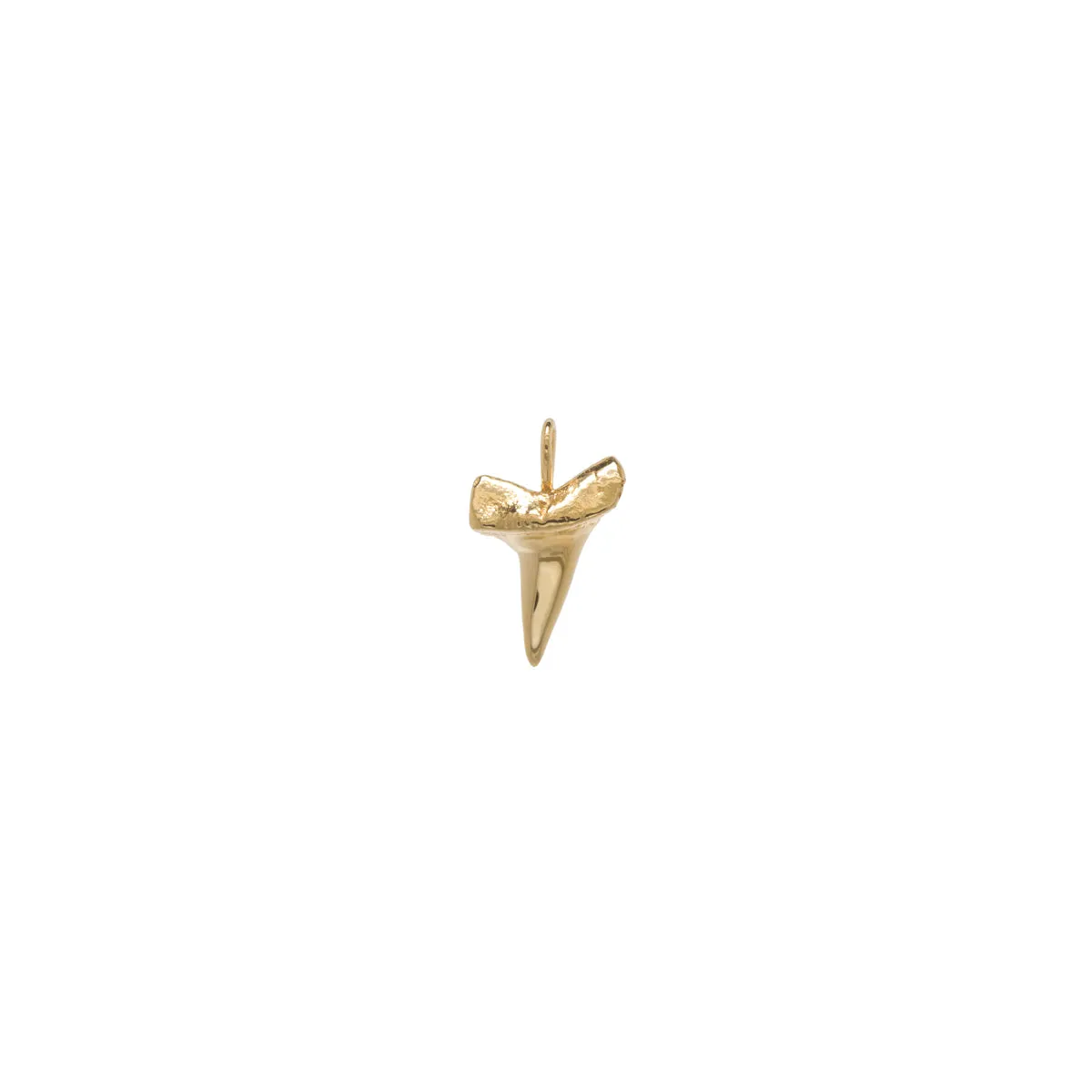 14k Single Shark Tooth Charm Pendant