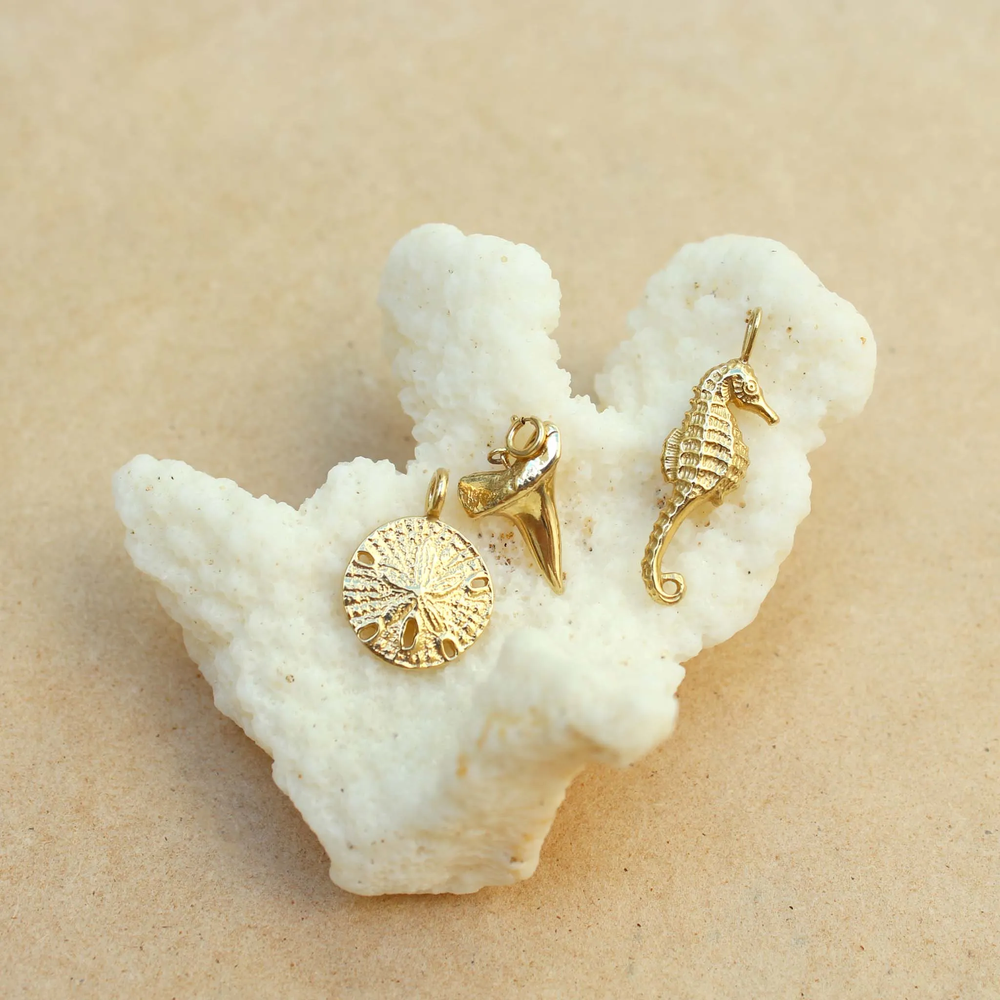 14k Single Shark Tooth Charm Pendant