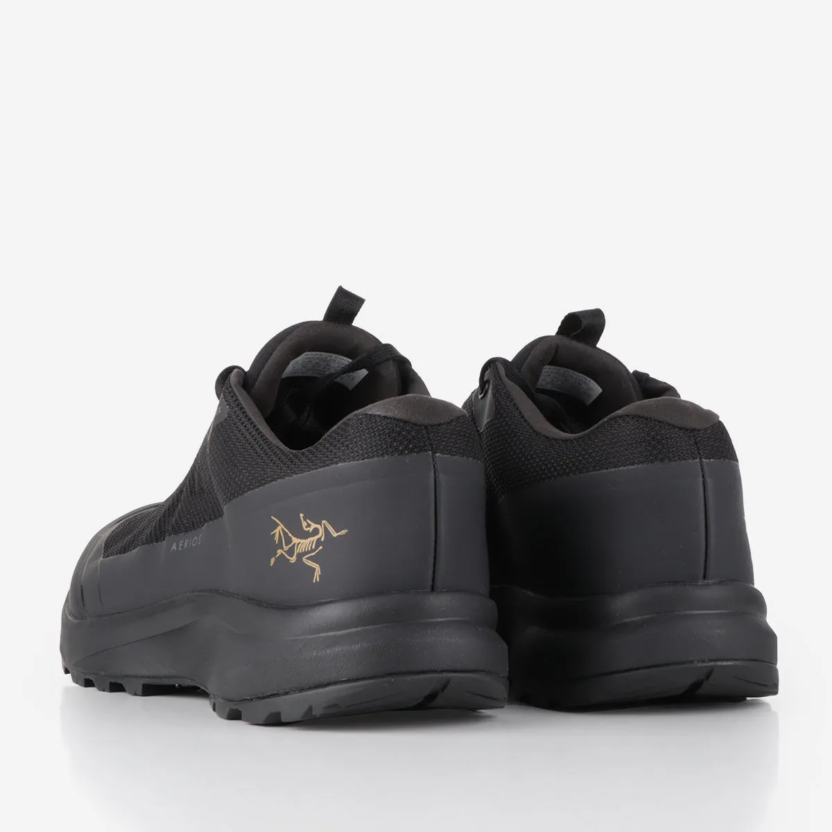 Arc'teryx Aerios GTX Shoes