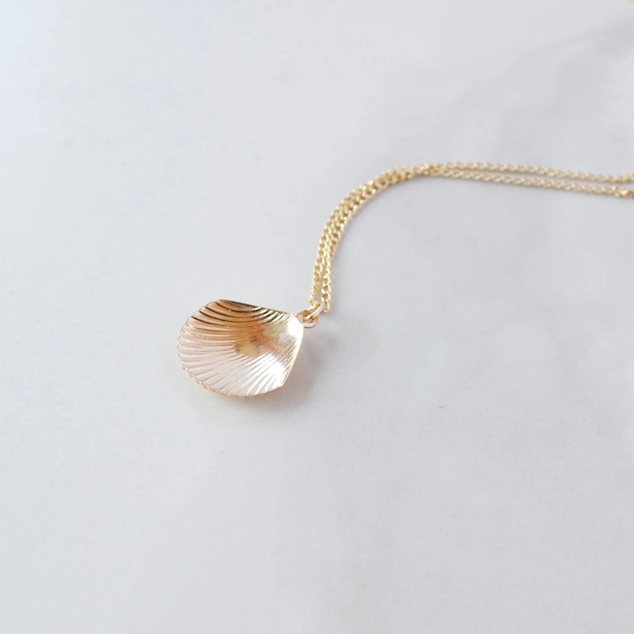 Seashell Necklace